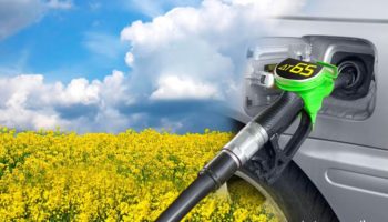 Что такое биотопливо